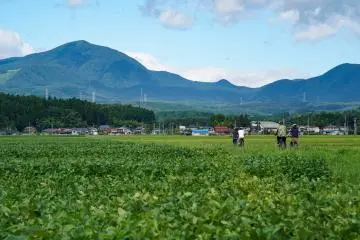 Farm country just minutes away from the hotel