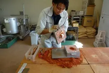 Opening up the metal cast carefully