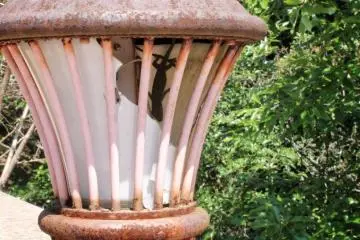 A Japanese gecko hides in a broken lamp