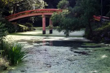 Red arching bridges make for some nice photo opportunities