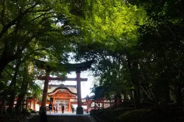 And now I'm climbing the set of stairs leading to the main shrine; another torii