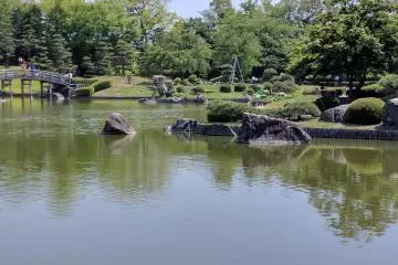 Kolam penuh dengan ikan koi