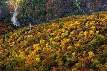 Pemandangan yang cantik di akhir Oktober