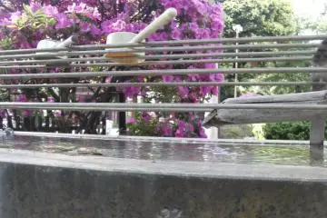 <p>Nature, simplicity and beauty. Staples of Buddhism.</p>