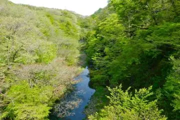 <p>POLA Museum of Art is located in Kozuka-yama Mountain in Sengokuhara, Hakone</p>