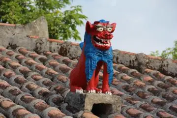 Traditionally shisa dogs are made of red clay but its not unusual to see colorful versions of the lion dog in Okinawa