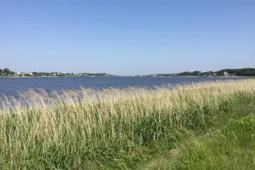 The wide expanse of the marsh on a sunny day