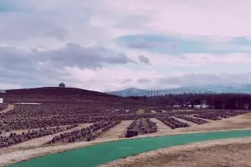 Hill of the Buddha แห่งฮอกไกโด