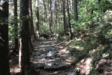 The stone-paved road