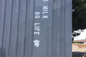 My philosophy too.