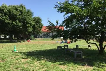 When we miss the US Midwest, we come to Kato Farm. 