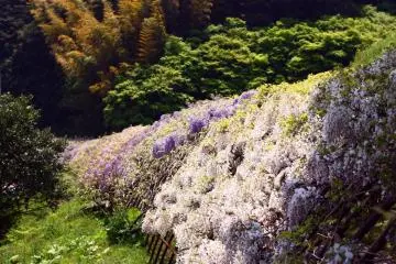 Looking at one of the tunnels from the outside gives a sense of how much painstaking work must have gone into making the garden this beautiful.