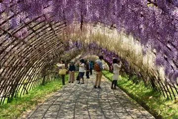 The contrast of light and shade inside the tunnels is breathtaking.