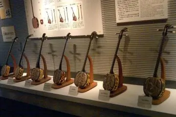 Different types of sanshin on display