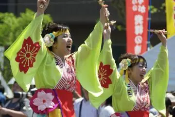 Yellow Kimonos were so striking with the bright green trees and blue skies