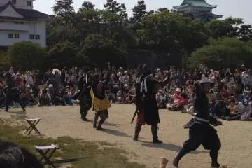 Huge crowds gather to watch the Omotenashi Busho Tai