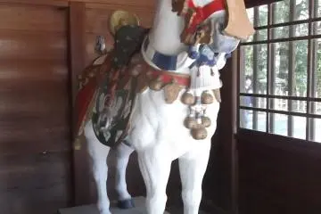 Este caballo se mantiene delicadamente escondido