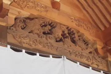 Tortugas siendo arrastradas por el océano