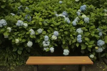 Please have a seat and behold the sight