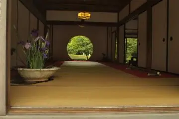 The Window of Enlightenment