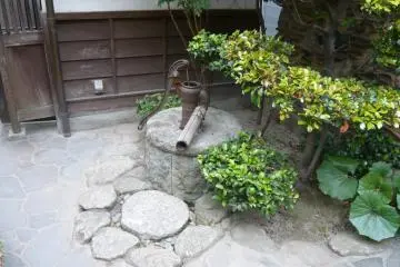 <p>Outdoor garden at museum</p>