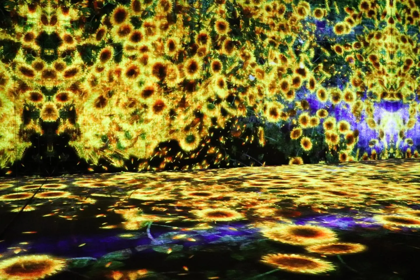 Digital Art Museum: TeamLab Borderless