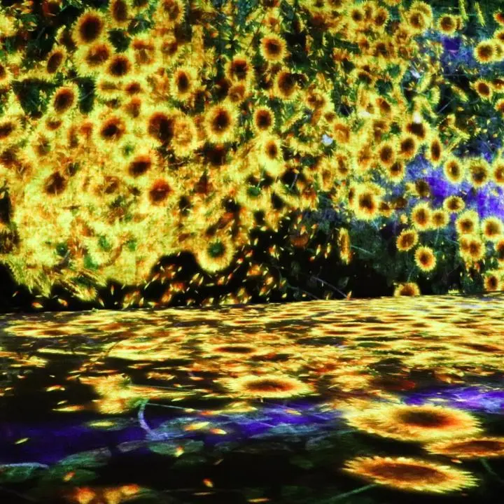 Digital Art Museum: TeamLab Borderless - Minato, Tokyo - Japan Travel