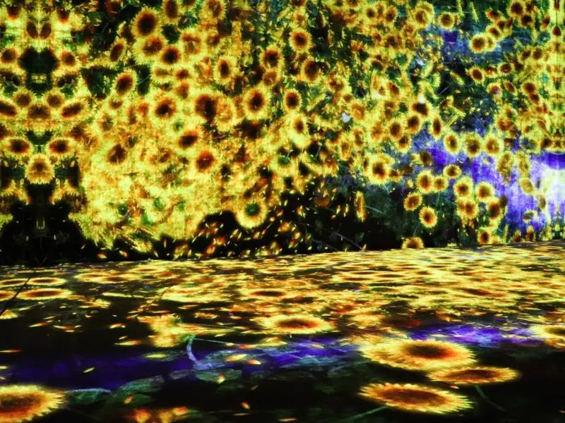 Digital Art Museum: TeamLab Borderless - Minato, Tokyo - Japan Travel