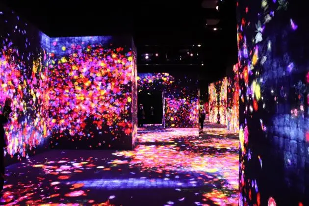 Digital Art Museum: TeamLab Borderless - Minato, Tokyo - Japan Travel