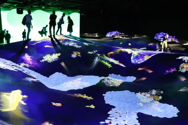 Digital Art Museum: TeamLab Borderless - Minato, Tokyo - Japan Travel