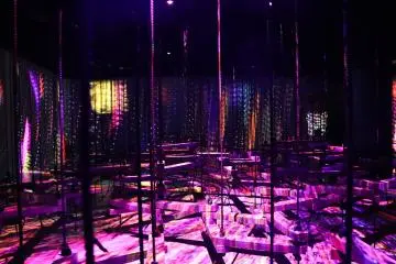 Swing across bars through a flock of birds