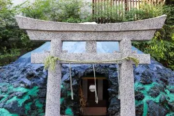 Gallery image