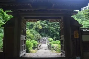 A slice of tranquility in the middle of the city