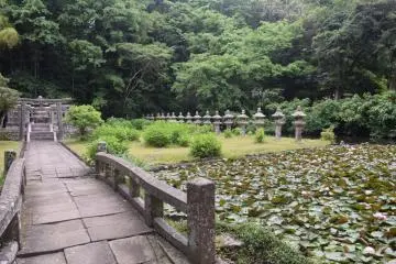 Lotus flowers dot the pond, and when the season is right there are hydrangeas galore