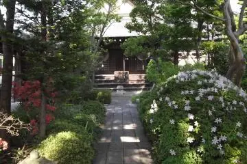 El pequeño pero agradable jardín