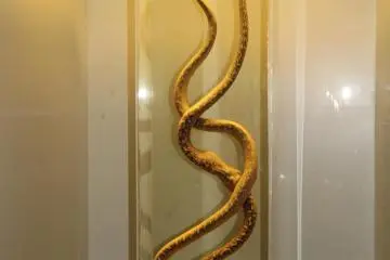 For those that may have wondered what snake mating might look like, the Habu Museum Park has an exhibit showing just that