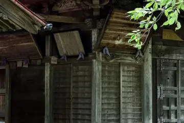 Arsitektur kuil dari dekat