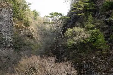 Close-up view