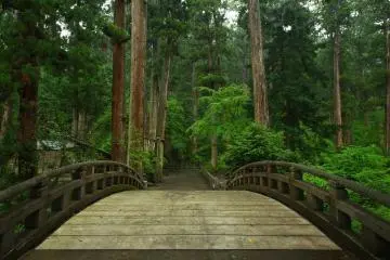 Your pilgrimage is about to begin