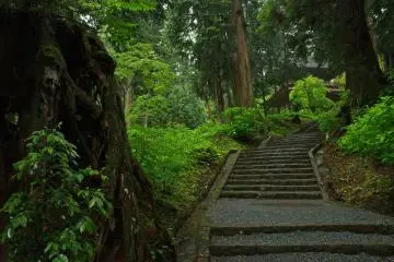 The stairs leading to the main gate.