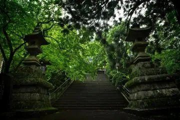 The main gate hidden behind the thick forest.