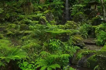The small waterfall inside the temple grounds.
