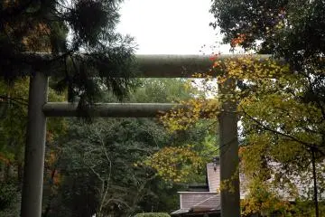 Torii gates at the entrance to the shrine complex