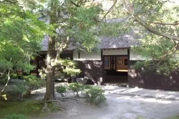 Gallery image