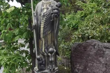 In the garden