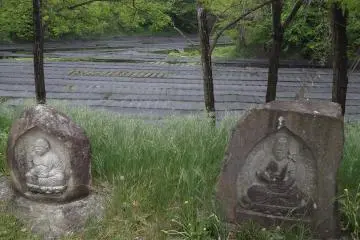 Daio Wasabi Farm