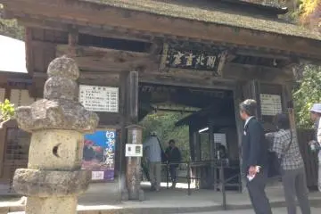 Walk through the bottom gate and start climbing!