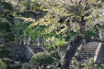 Several small gardens are found along the walk as well. The area is most beautiful during spring or early fall.