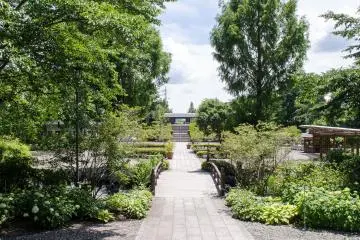 In the middle of the park