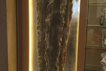 Kombu sebagai benda seni. Pajangan yang ada di luar toko.